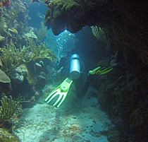padi adventure diver course