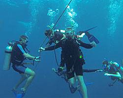 padi open water diver course